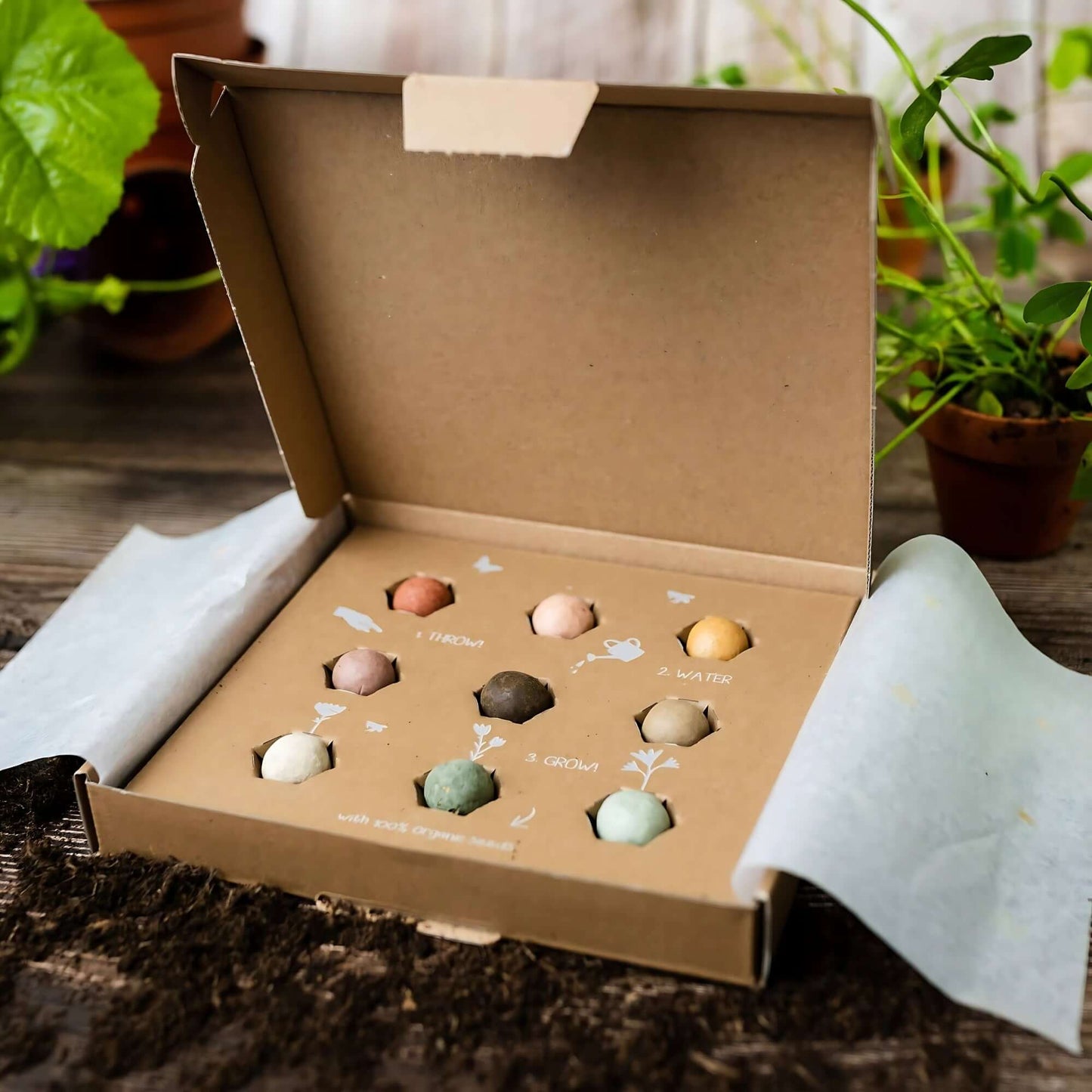 Blossombs Wildflower Seed Ball Box - 9 Balls