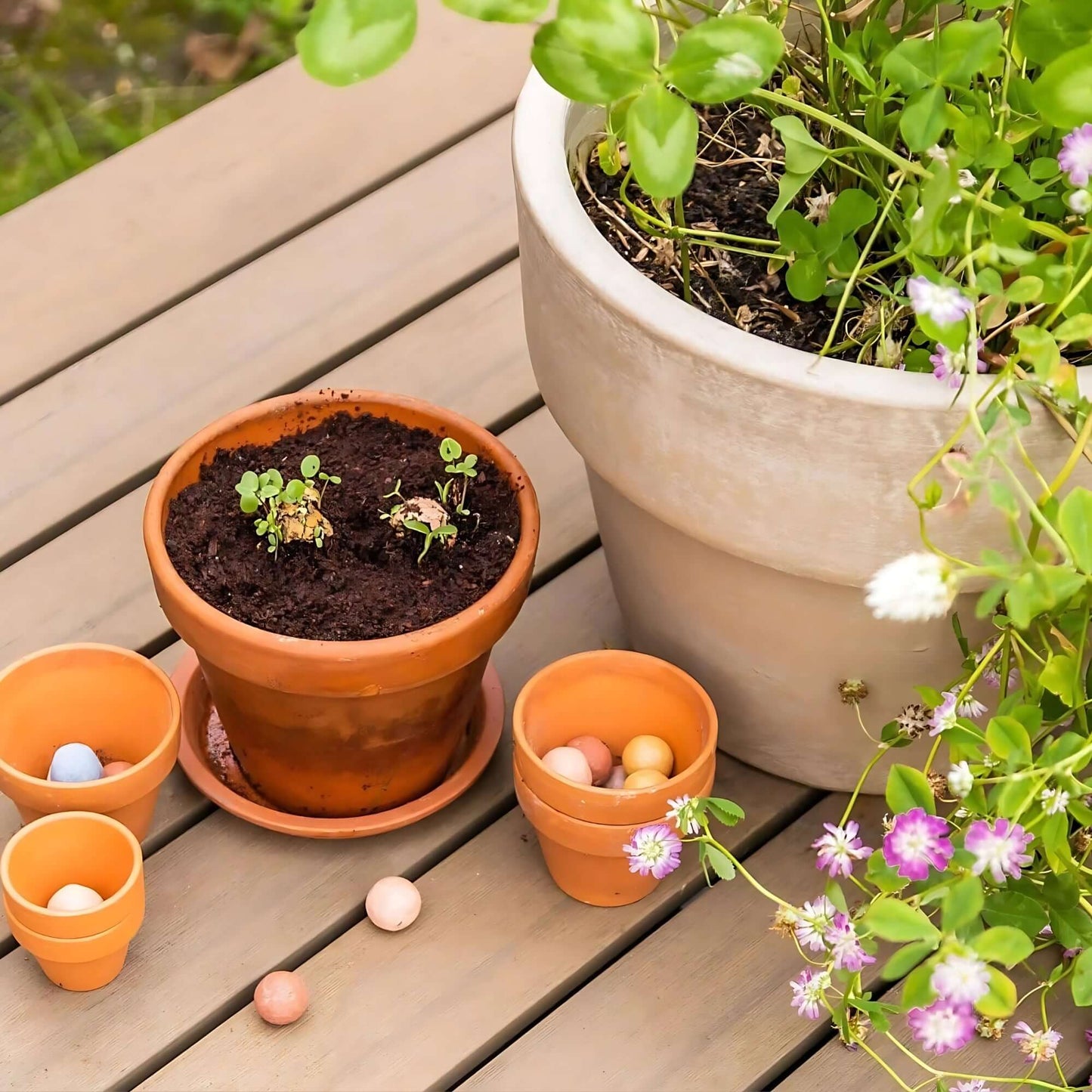 Blossombs Wildflower Seed Ball Box - 9 Balls