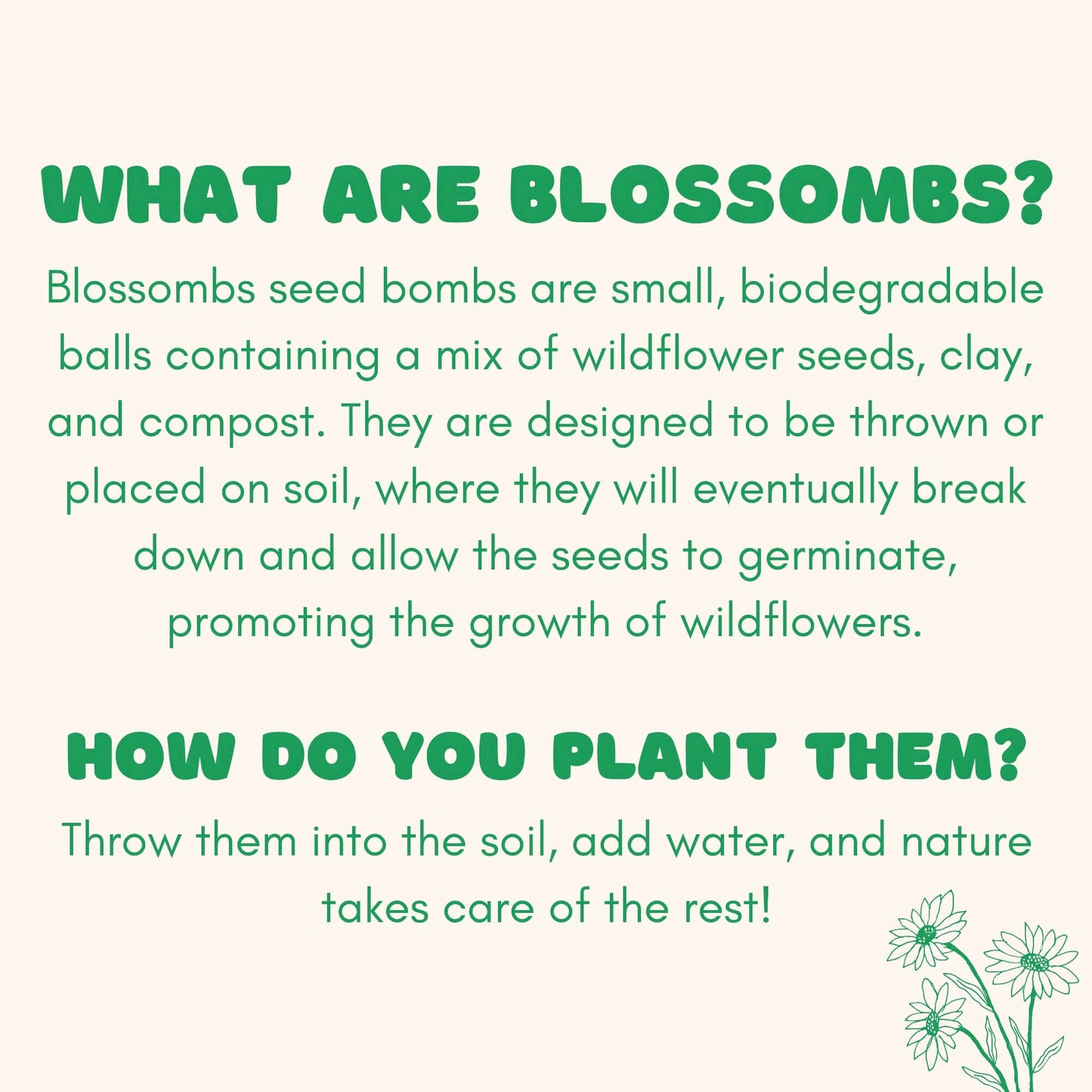 Blossombs Wildflower Seed Ball Box - 9 Balls