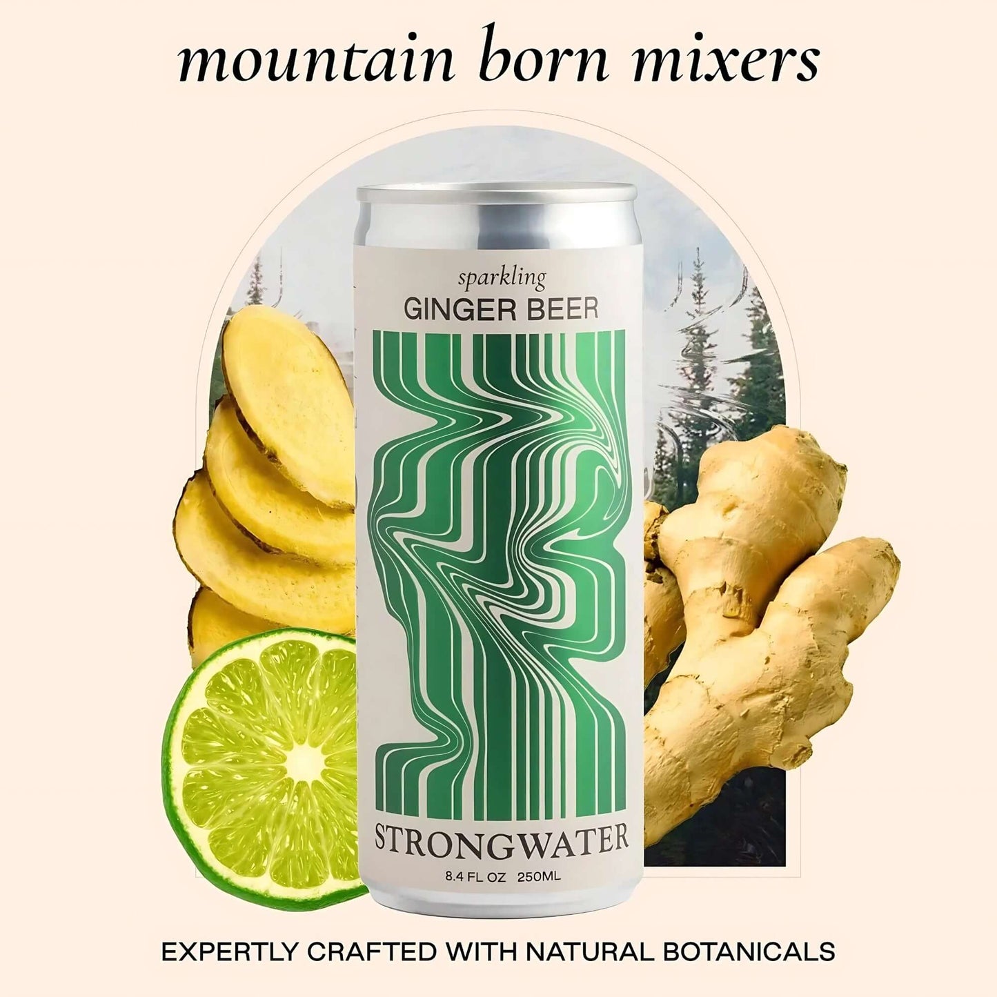 Ginger Beer - 4 Can Pack - Strongwater