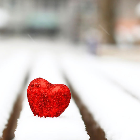 February's End and the Promise of Spring