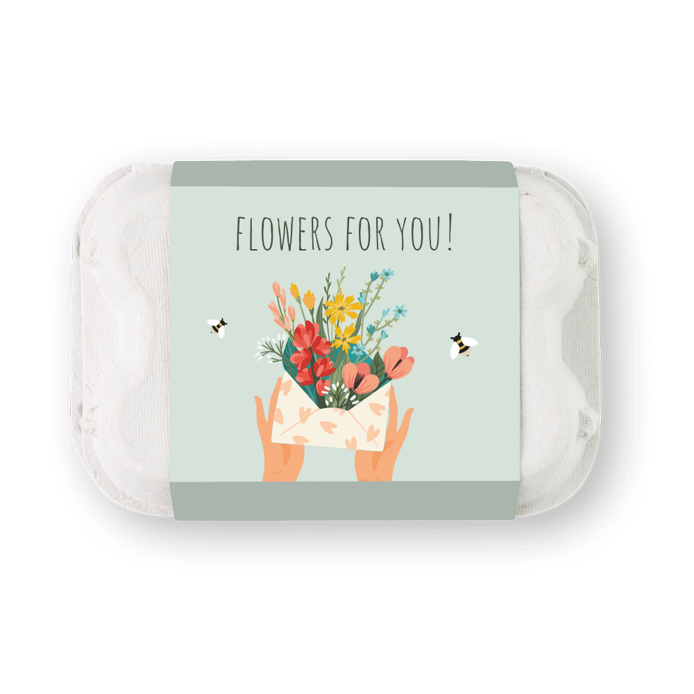 Blossombs Wildflower Seed Balls - 6 Balls