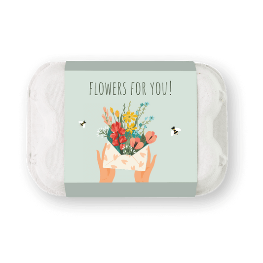 Blossombs Wildflower Seed Balls - 6 Balls