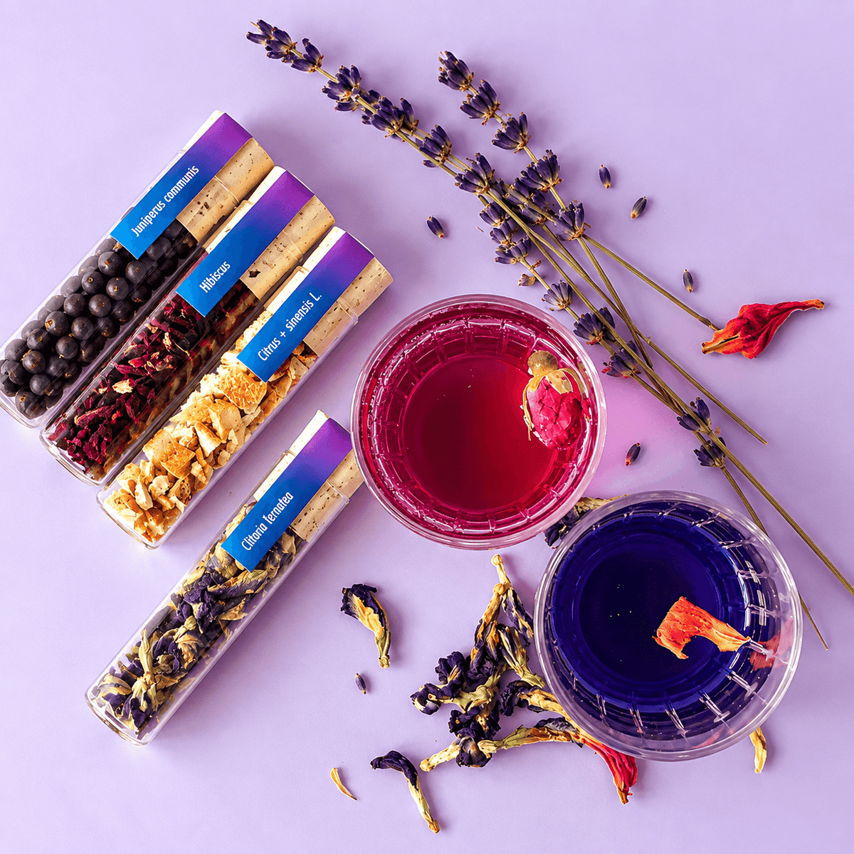 Color Changing Gin Infusion Kit - Cocktail Infusion Set
