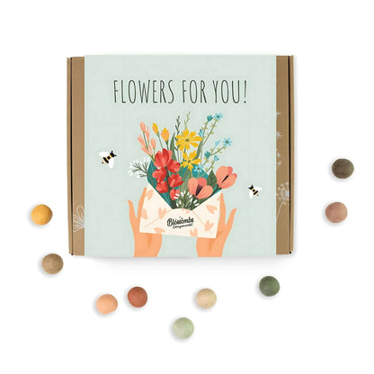 Blossombs Wildflower Seed Ball Box - 9 Balls