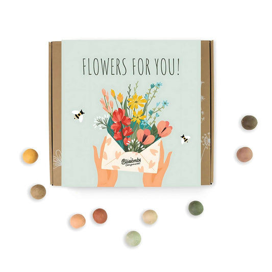 Blossombs Wildflower Seed Ball Box - 9 Balls