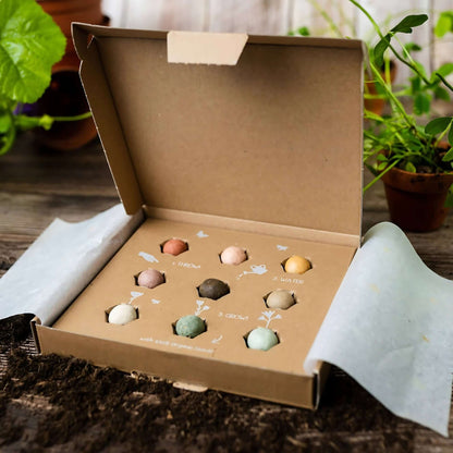 Blossombs Wildflower Seed Ball Box - 9 Balls