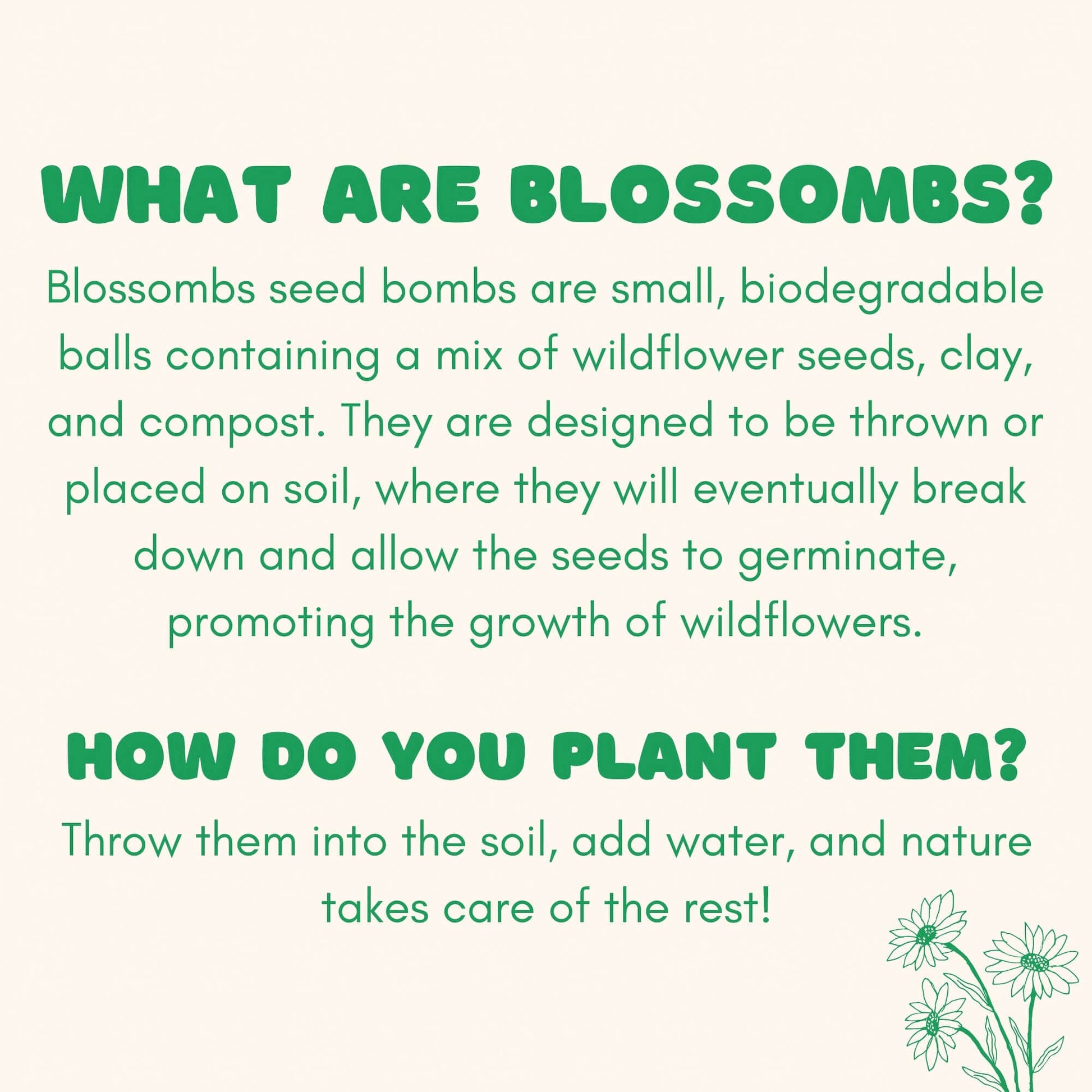 Blossombs Wildflower Seed Ball Box - 9 Balls
