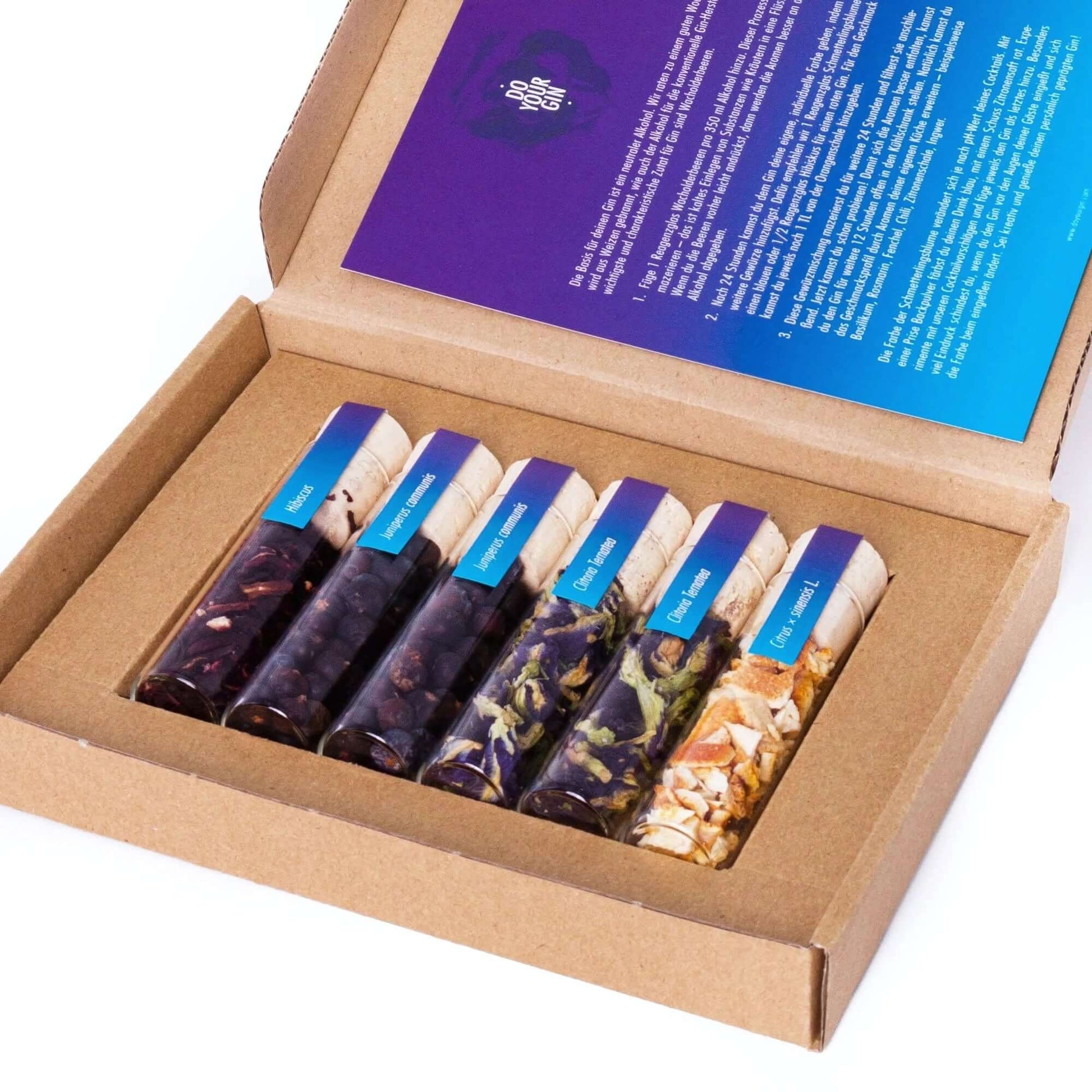 Gin Color Changing Set & Cocktail Infusion Kit