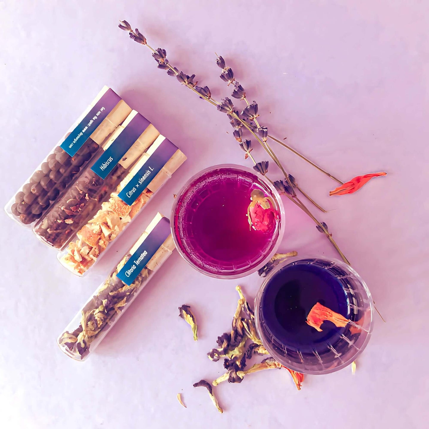 Gin Color Changing Set & Cocktail Infusion Kit