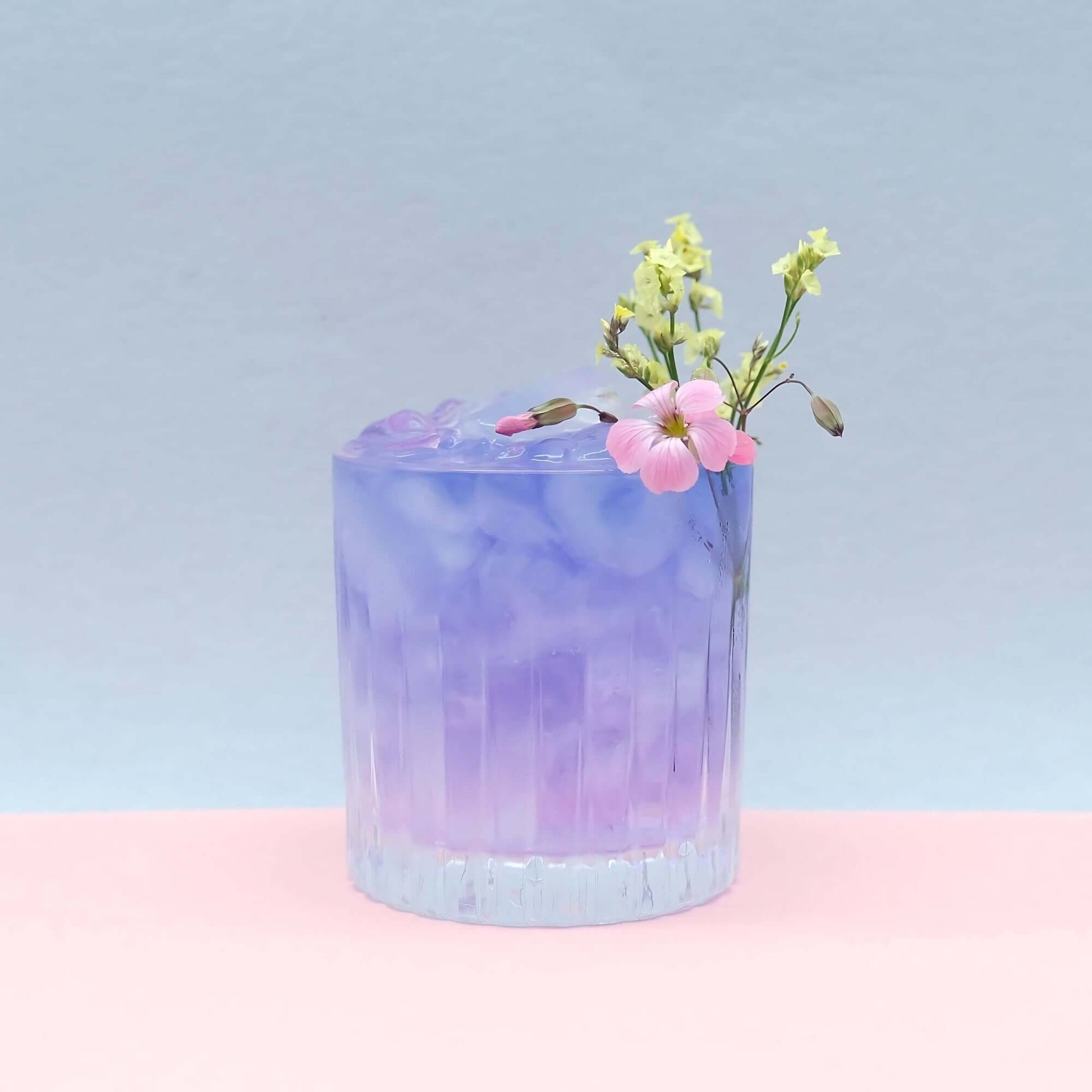 Gin Color Changing Set & Cocktail Infusion Kit