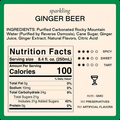 Ginger Beer - 4 Can Pack - Strongwater